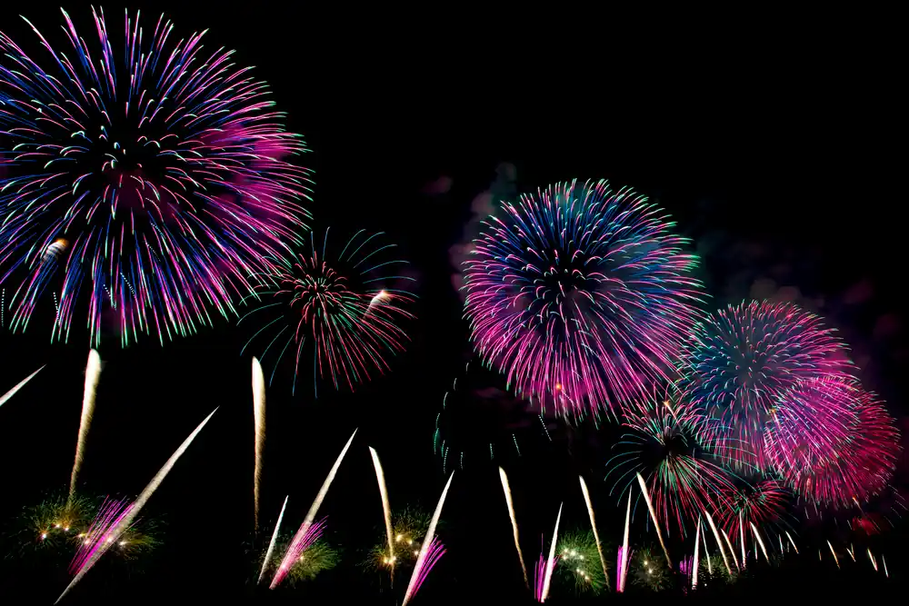 top fireworks 2024 from black cat fireworks best rocket fireworks