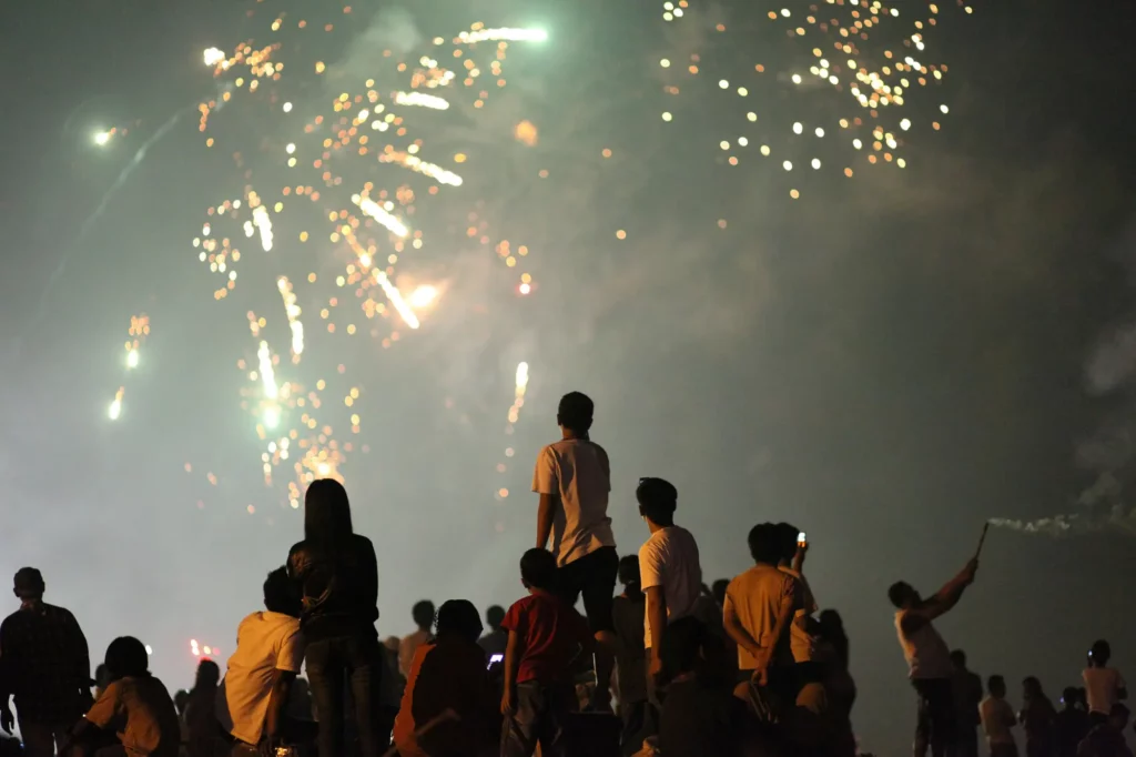 people watching firework display