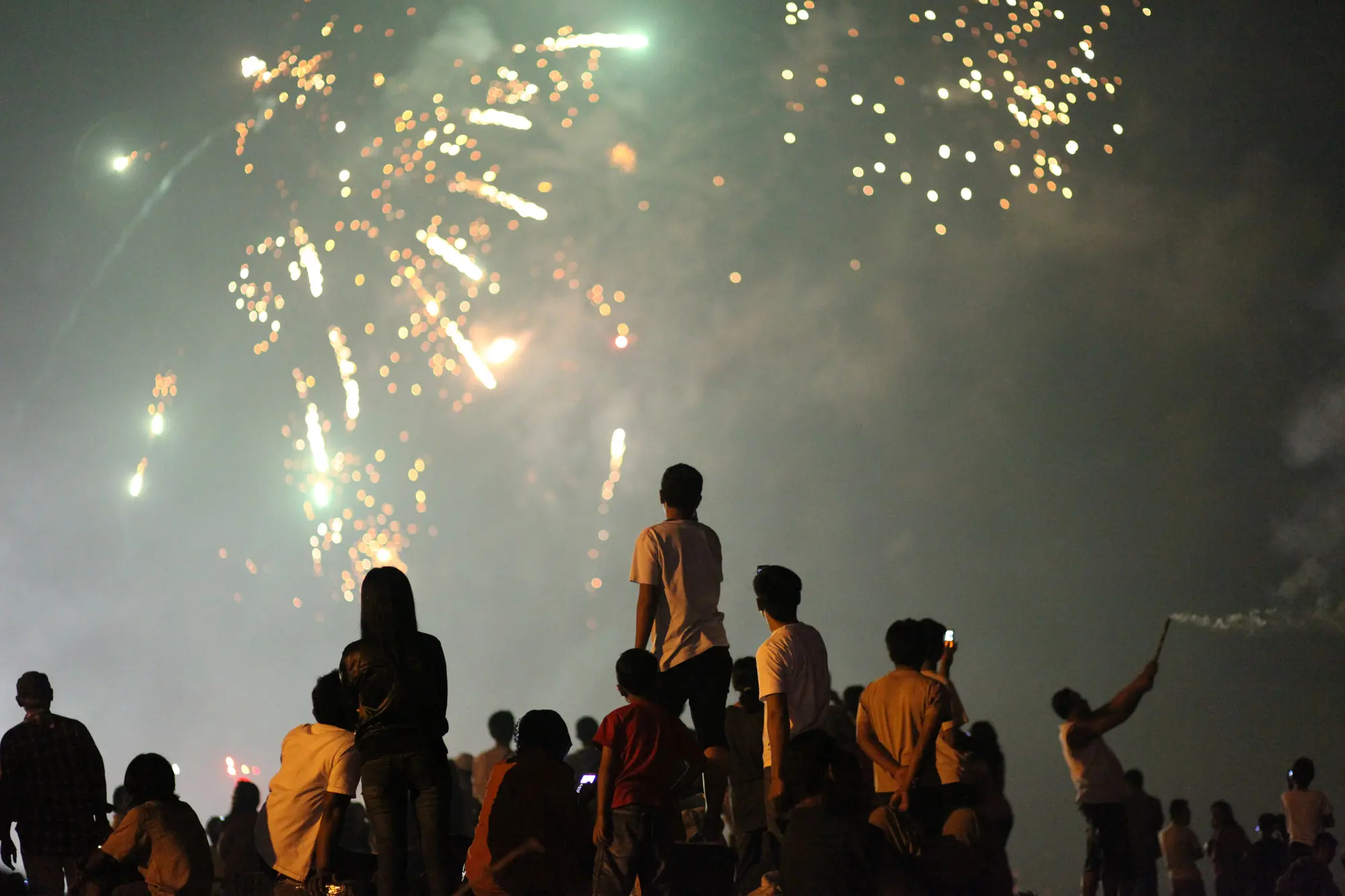 people watching firework display