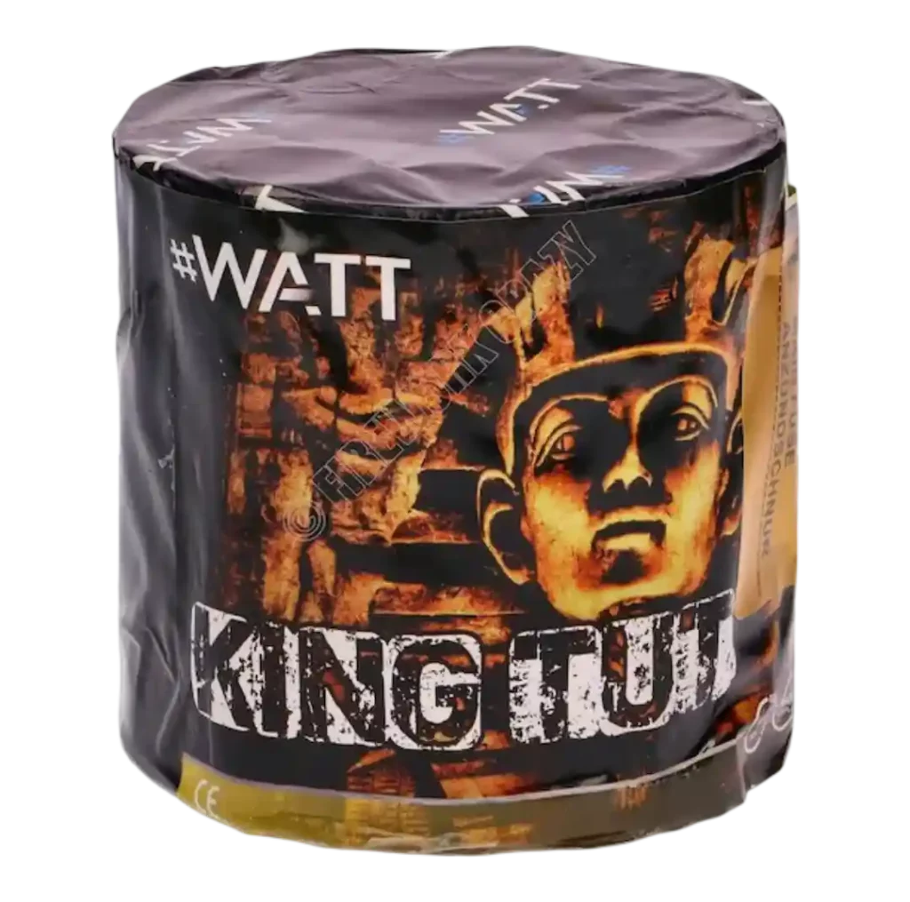 king tut (1)