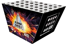 bloomin marvels by celtic fireworks