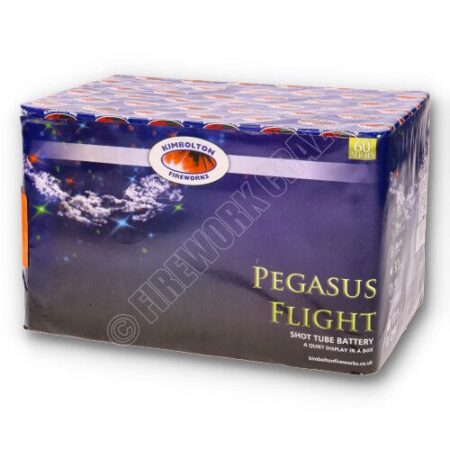 pegasus flight by kimbolton fireworks