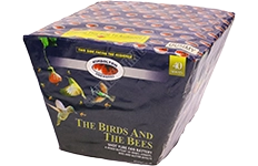 birds and the bees by kimbolton fireworks