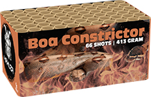 boa constrictor by lesli fireworks