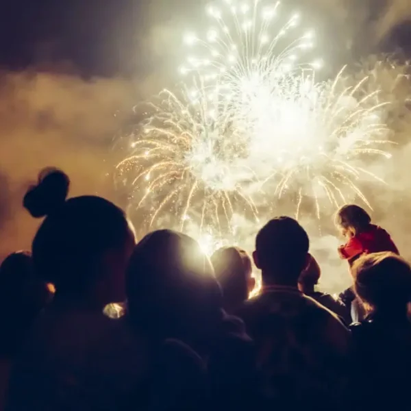 professional firework displays min (1)
