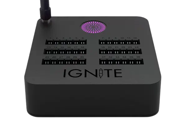 remote ignition firing system