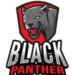 black panther fireworks 150